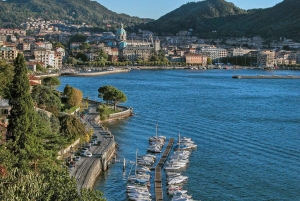Fra Milano: Como, Bellagio, Lugano Dagstur & guidet krydstogt på søen