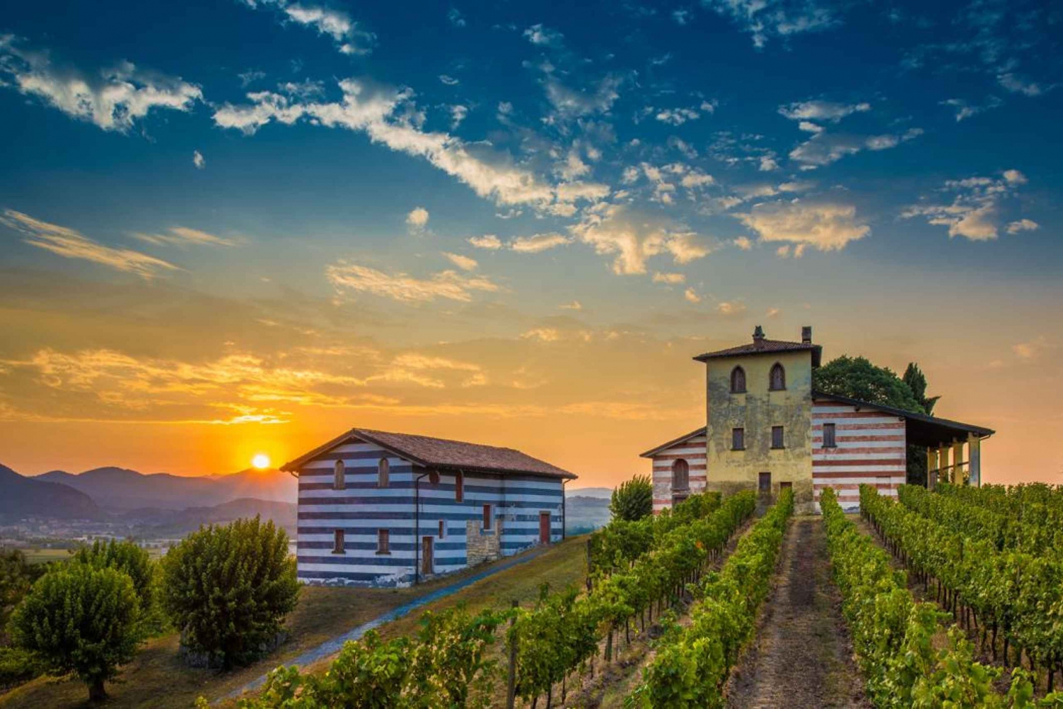 Milano: Franciacorta vingård och Bergamo dagsutflykt med lunch