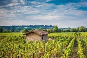 Franciacorta Winery and Bergamo Day Trip with Lunch