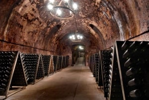 Milan: Franciacorta Winery and Bergamo Day Trip with Lunch