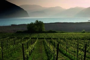 Milano: Franciacorta vingård og dagstur til Bergamo med lunsj