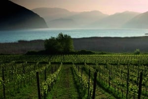 Milan : Excursion d'une journée au vignoble de Franciacorta et à Bergame avec déjeuner