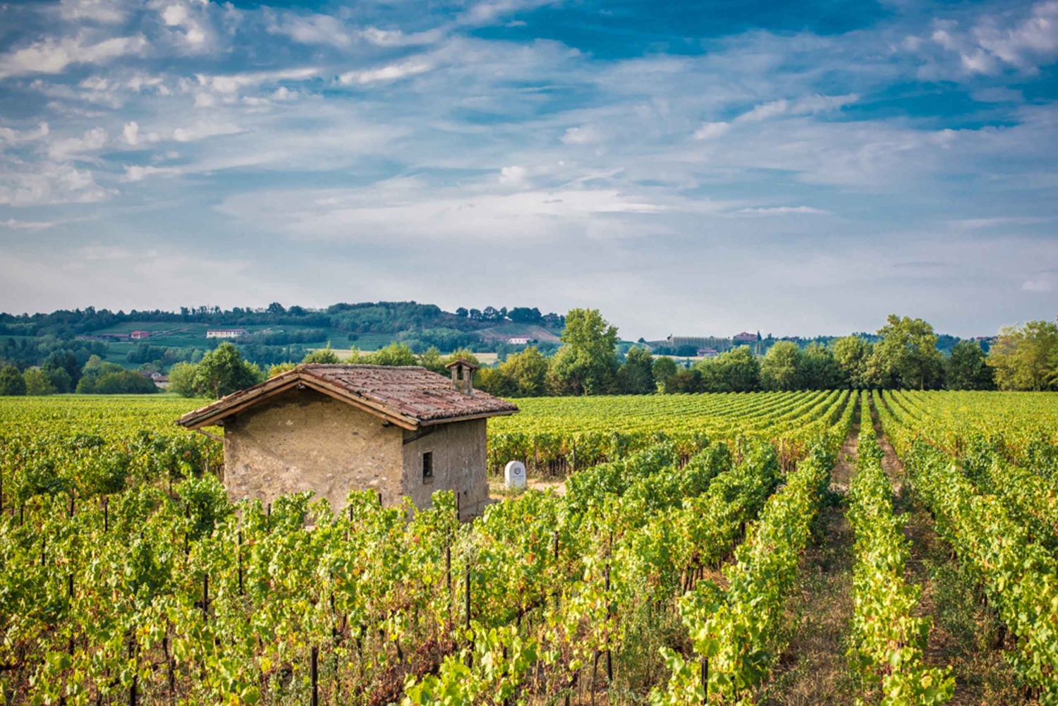 Från Milano: Heldag i Franciacorta. 2 vingårdar & lunch