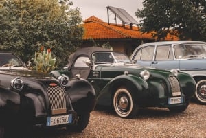 From Milan: Lago Maggiore Tour Driving a Classic Car