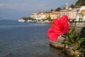 From Milan: Lake Como, Bellagio a Varenna Day Trip