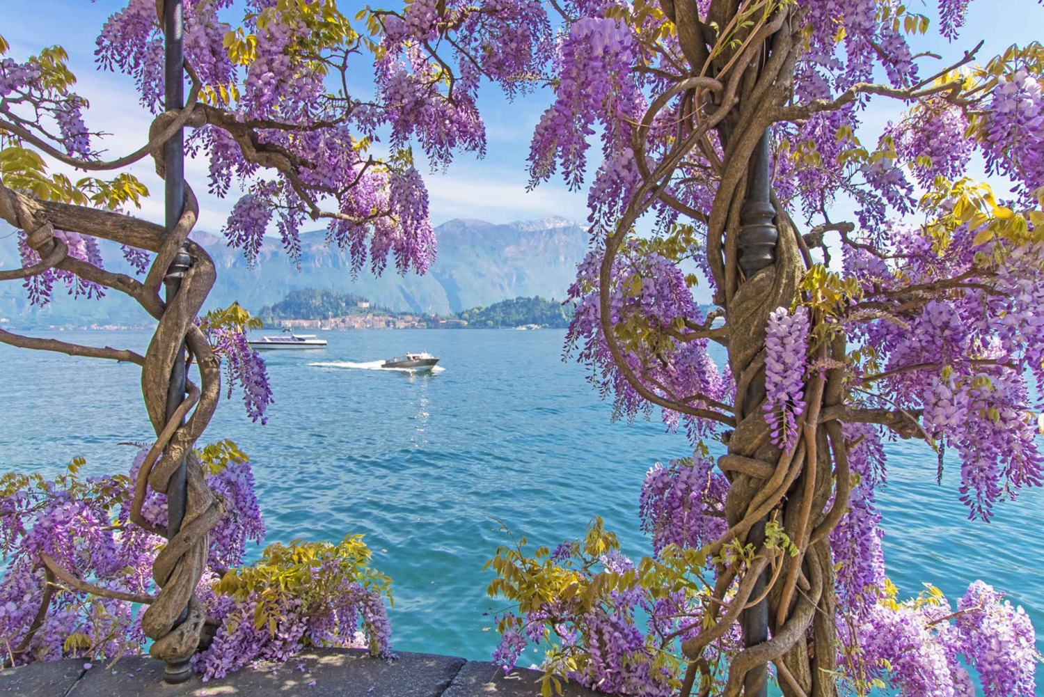 From Milan: Lake Como Private Day Trip
