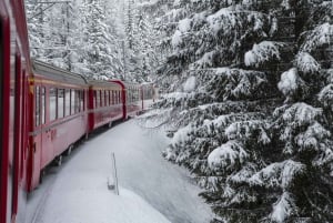 Lake Como Cruise, St. Moritz & Bernina Red Train