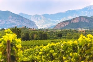 Fra Milano: Iseosøen, Bergamo og Franciacorta vintur