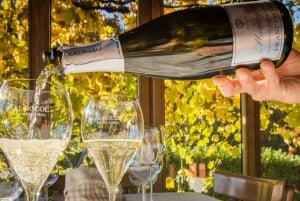 Fra Milano: Iseosøen, Bergamo og Franciacorta vintur