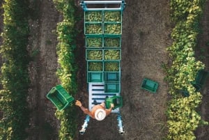 Fra Milano: Iseosøen, Bergamo og Franciacorta vintur