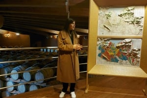 Fra Milano: Iseosøen, Bergamo og Franciacorta vintur