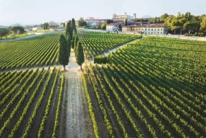 Fra Milano: Iseosøen, Bergamo og Franciacorta vintur