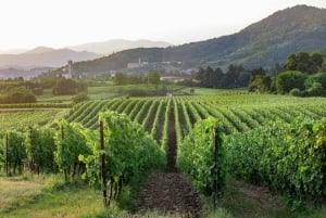 Fra Milano: Iseosøen, Bergamo og Franciacorta vintur