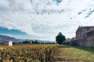 Fra Milano: Iseosøen, Bergamo og Franciacorta vintur