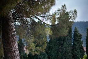 Fra Milano: Iseosøen, Bergamo og Franciacorta vintur