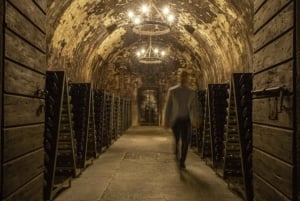 Fra Milano: Iseosøen, Bergamo og Franciacorta vintur