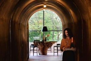 Fra Milano: Iseosøen, Bergamo og Franciacorta vintur