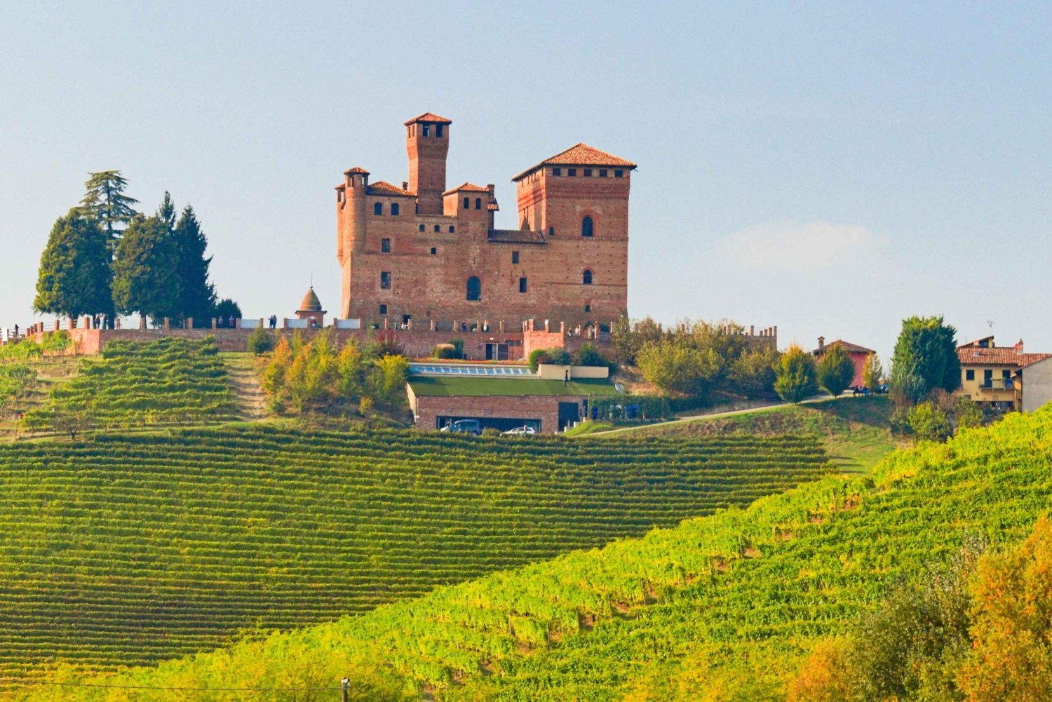 Da Milano: Barolo e la regione del tartufo con degustazione di vini