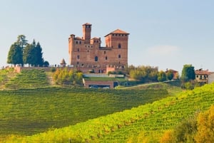 Von Mailand aus: Barolo- und Trüffelregion mit Weinverkostung