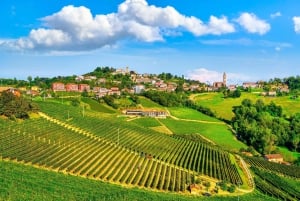 Von Mailand aus: Barolo- und Trüffelregion mit Weinverkostung