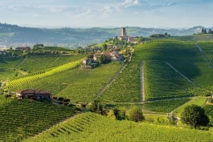 Von Mailand aus: Barolo- und Trüffelregion mit Weinverkostung