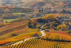 From Milan: Piemonte Private Wine Tour with a Private Driver