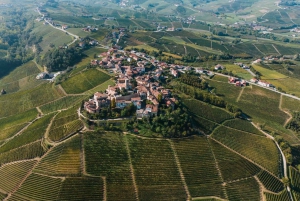 From Milan: Piemonte Private Wine Tour with a Private Driver