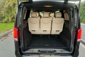 From Milan: Private 1-Way Transfer to Linate airport