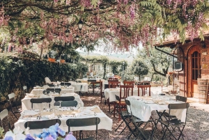 Desde Milán: tour privado a Certosa y Oltrepò con cata