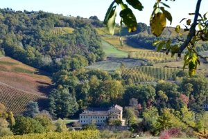 Desde Milán: tour privado a Certosa y Oltrepò con cata