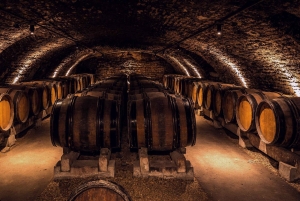 Desde Milán: tour privado a Certosa y Oltrepò con cata