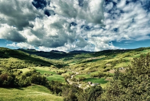 Desde Milán: tour privado a Certosa y Oltrepò con cata