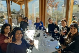 Vanuit Milaan: Dagtrip door de prachtige Alpen met een ritje met de Bernina trein