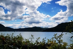 Från Milano: Autentisk tur i liten grupp till Comosjön och Lugano