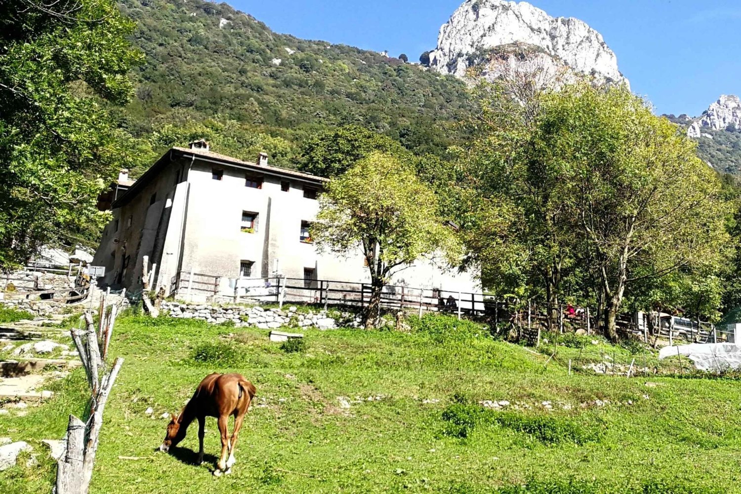 Desde Milán: excursión de senderismo a Terz'Alpe y Corni di Canzo