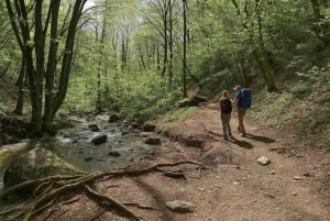 Desde Milán: excursión de senderismo a Terz'Alpe y Corni di Canzo