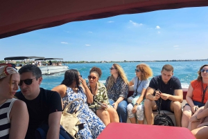 From Milan: Verona, Sirmione and Lake Garda with Boat Cruise