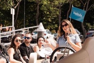 From Milan: Verona, Sirmione and Lake Garda with Boat Cruise