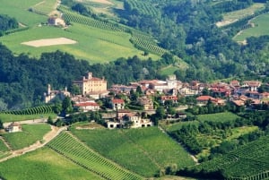 Full-Day Barbaresco Wine Tour with Truffle Hunting and Lunch