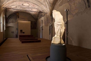Guided Tour: Discover Sforza Castle and Michelangelo's Art