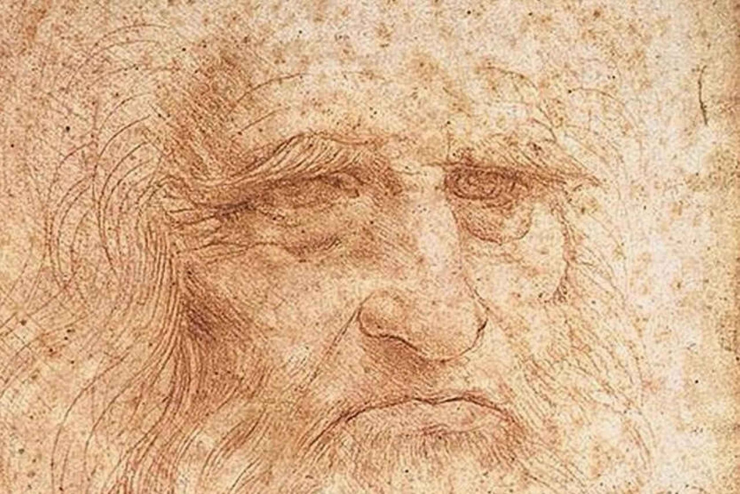 HD z Mediolanu: Autoportret Leonarda da Vinci - wycieczka prywatna
