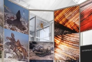 Triennale Milano: Guidad tur – Att leva tillsammans: biologisk mångfald och hälsa