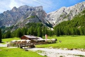 From Milan: Lake Braies Day Trip with Walk & Panoramic Views