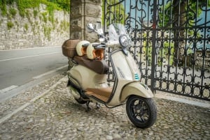 Lago Como: Aluguer de Vespa por um dia inteiro e espreguiçadeiras no Beach Club