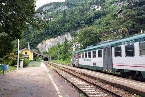Lake Como: Train Transfer to/from Milan with Scenic Views