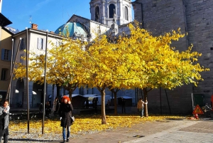 Mailand: Halbtägige Kleingruppen-Tour zum Comer See mit Bootsfahrt