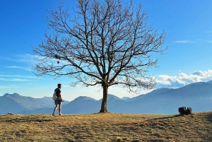 Vanuit Milaan/Como: Panoramische wandeltochten bij het Comomeer