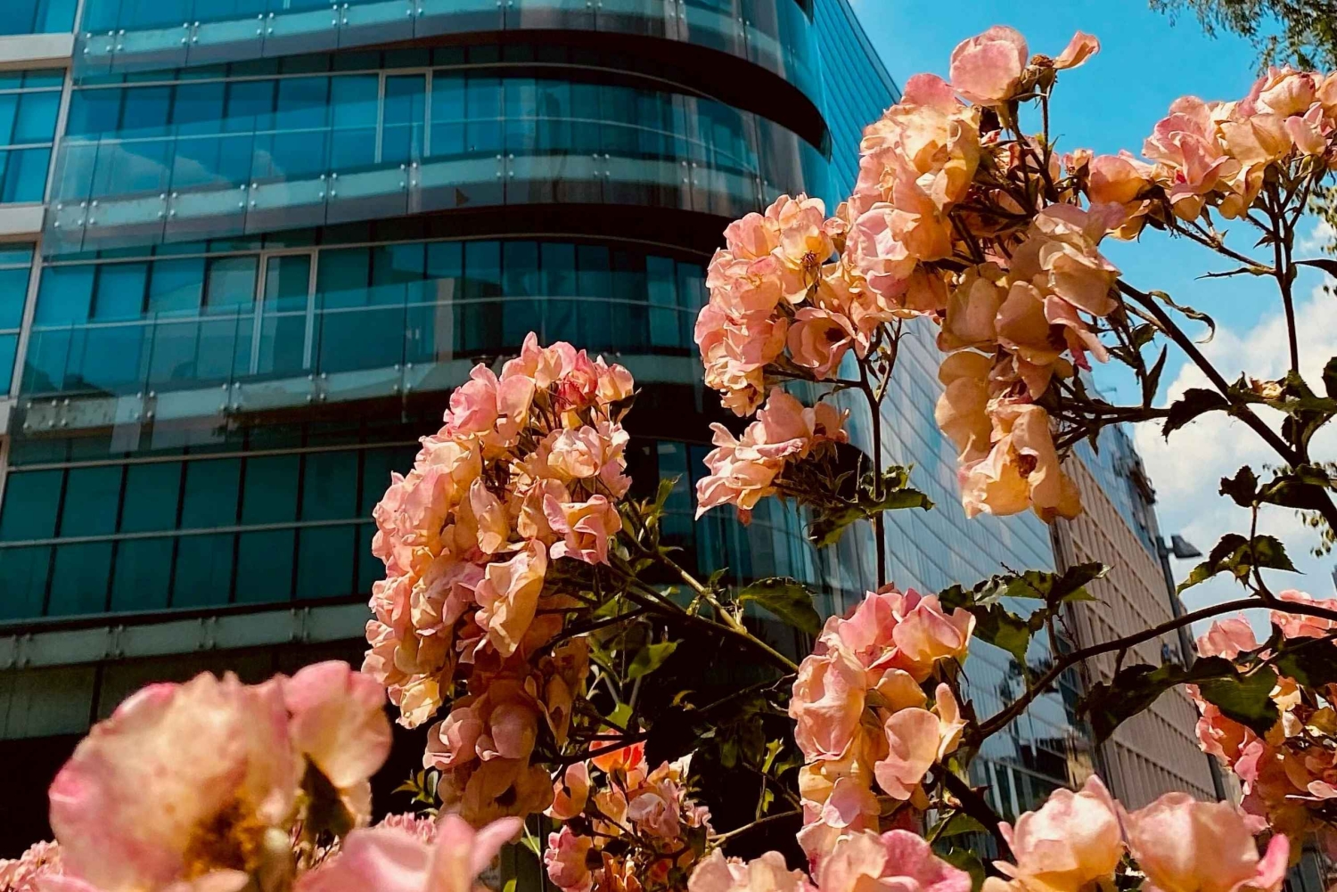 Mediolan: między innowacją a eklektyzmem (Porta Nuova & Isola)