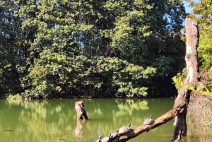 Milano: Cykeltur med picnic ved skildpaddesøen