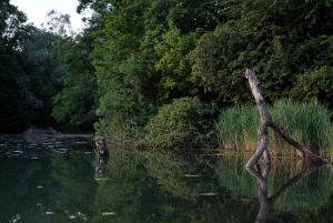 Milan: Bike Tour with Picnic on the turtle lake